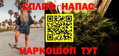 ECSTASY Гай