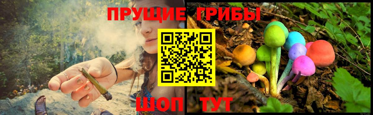 Псилоцибиновые грибы MAGIC MUSHROOMS Киреевск