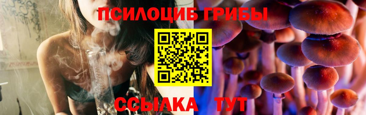 Галлюциногенные грибы Magic Shrooms  Вход с VPN  Киреевск 